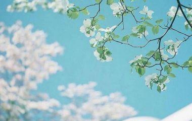 贵州中专学历可以直接读函授本科吗?