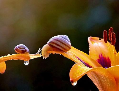 贵阳成人高考选择业余学习方式必须去上课吗？