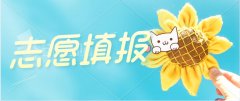 <strong>2020年贵州省成人高考正式志愿填报于11月15日-</strong>