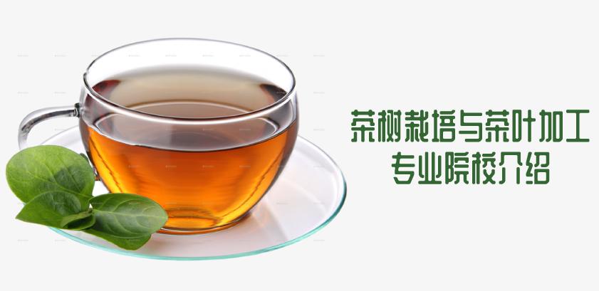 贵州省成人高考成考[茶树栽培与茶叶加工]专业介绍